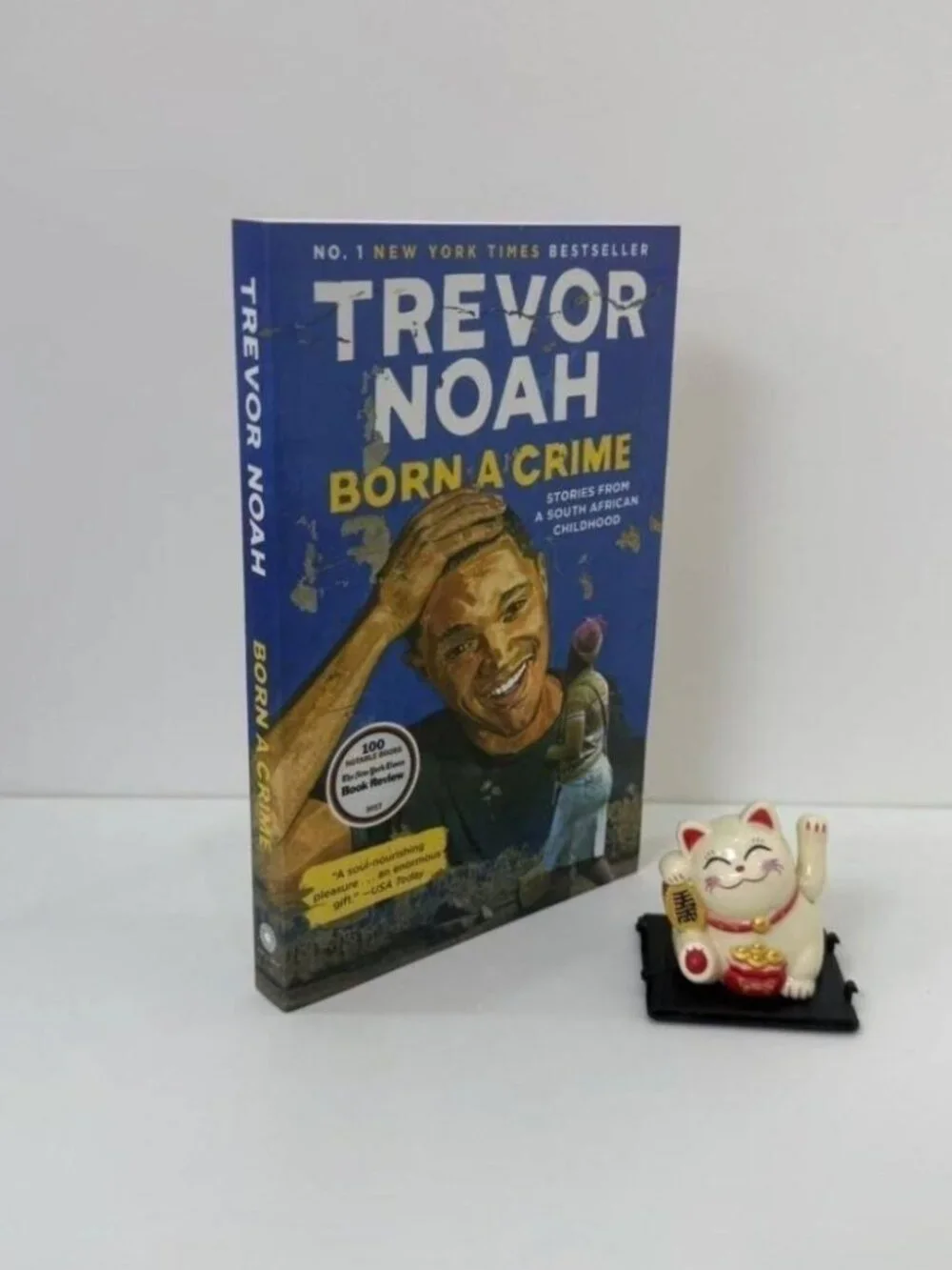 Trevor Noah Born a Crime Paperback Memoir Autobiography Book